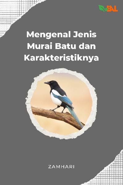 Mengenal Jenis Murai Batu dan Karakteristiknya